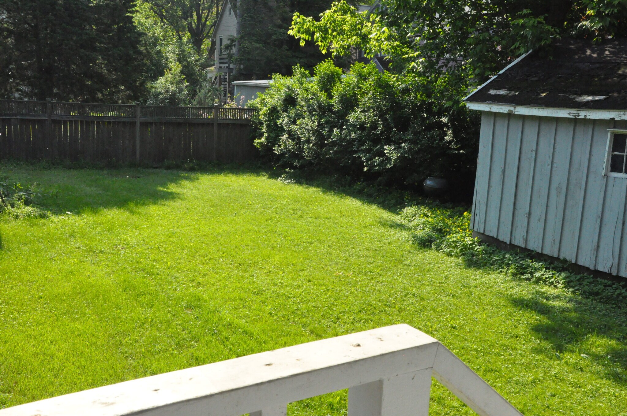 Backyard - 707 N Aurora St