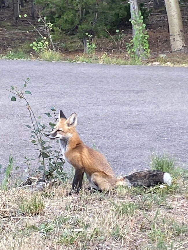 Building Photo - 28 Valley View Ln