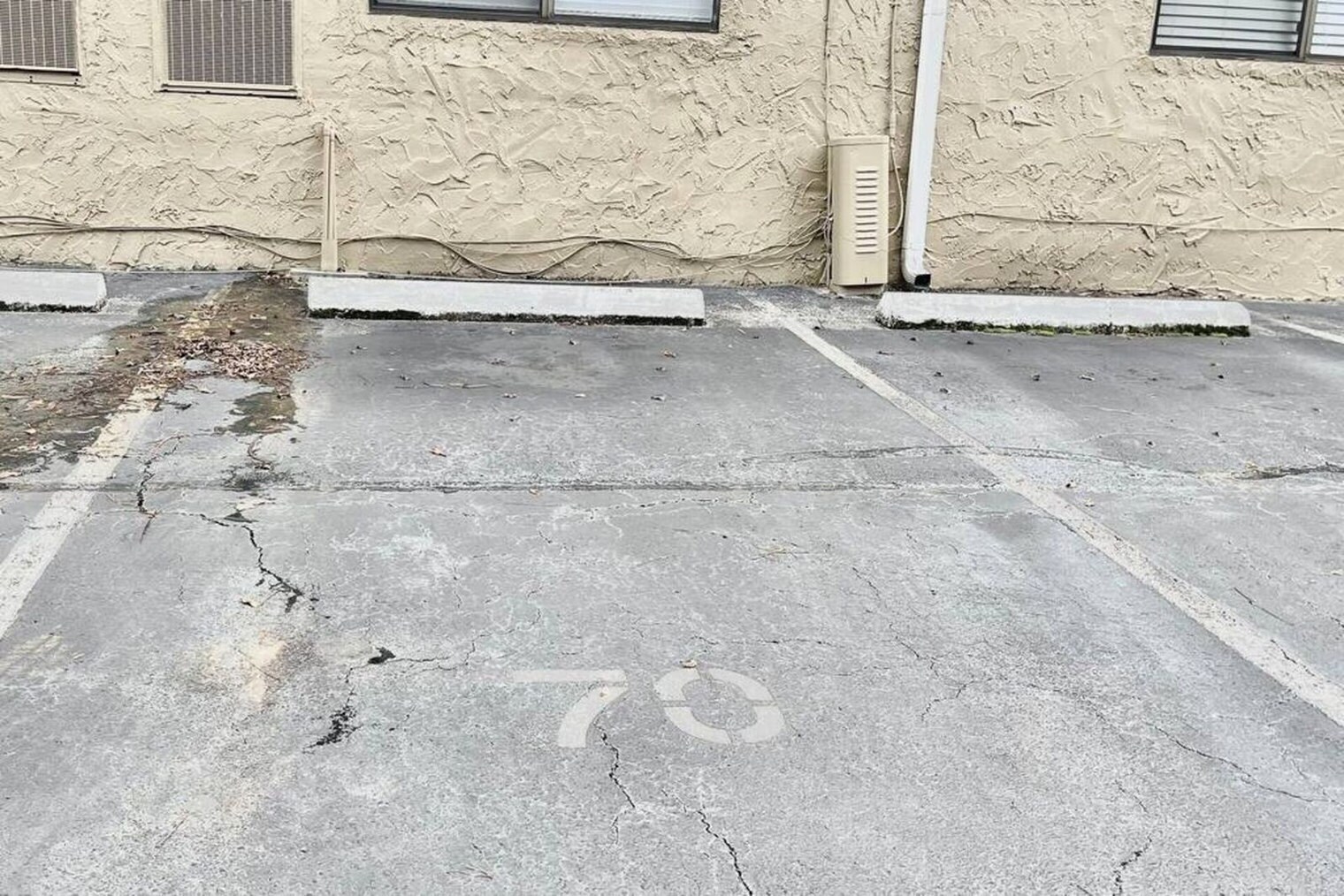 Building Photo - 253 Hayden Rd