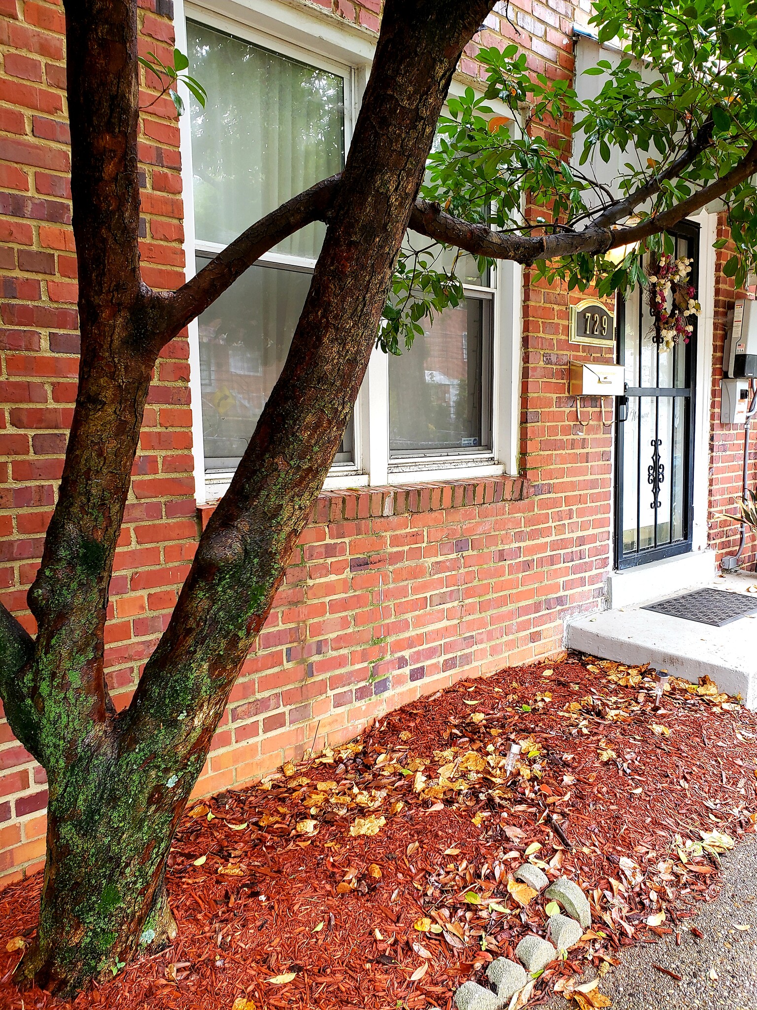 View of front of the house - 729 Congress St SE