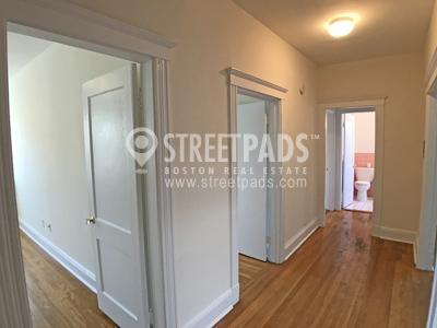 Primary Photo - 3 bedroom in Boston MA 02135