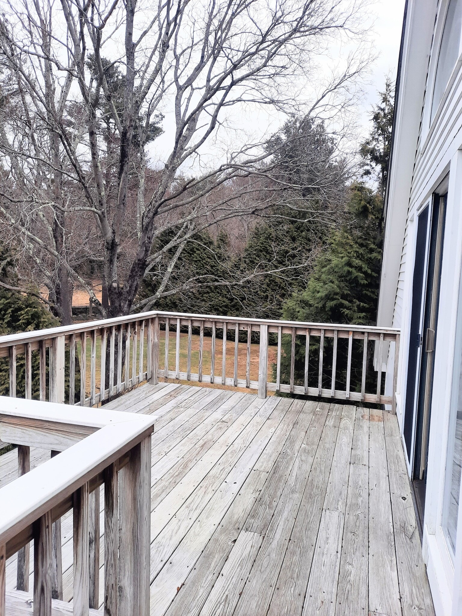 Building Photo - 715 Main St