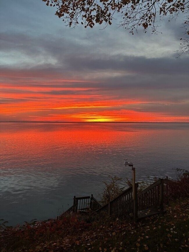 Building Photo - Gorgeous Water Front Home with Beach Access