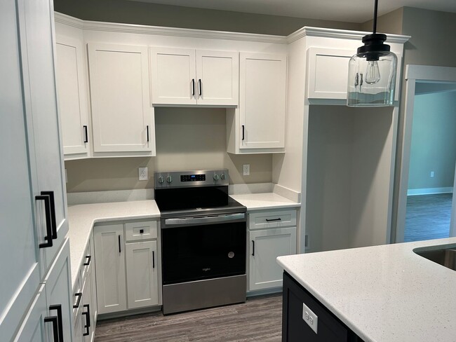 Building Photo - Stunning New Build 3 bedroom 2.5 Bath Home...