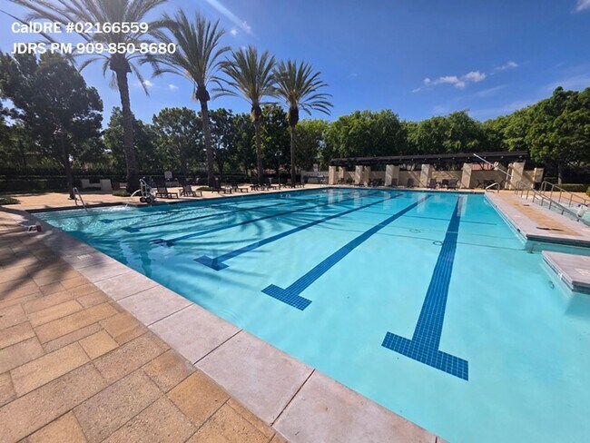 Building Photo - Irvine 4 Bedroom Home