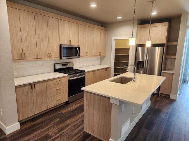 Building Photo - Newer single family home in Painted Prairie.