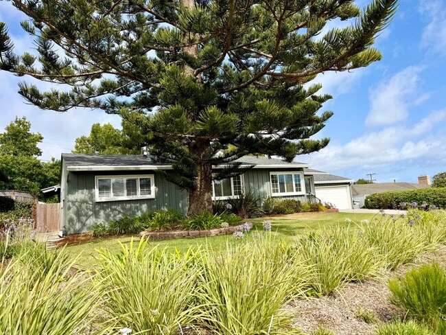 Building Photo - Beautiful 3BR/3BA Point Loma Home with Vaulted Ceilings & Central AC
