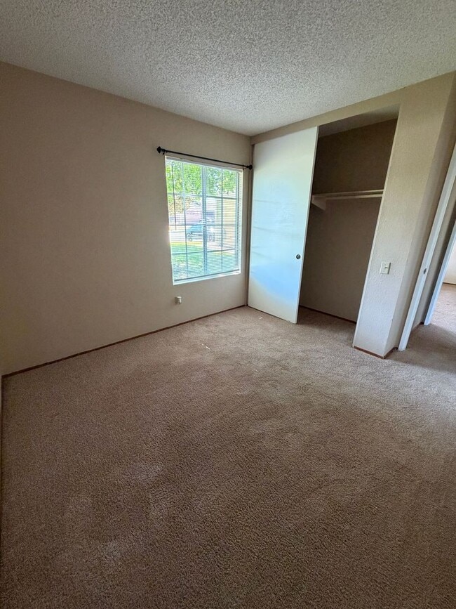 Building Photo - Move in Ready, single story 3 Bed / 2 Bath with Huge Backyard!