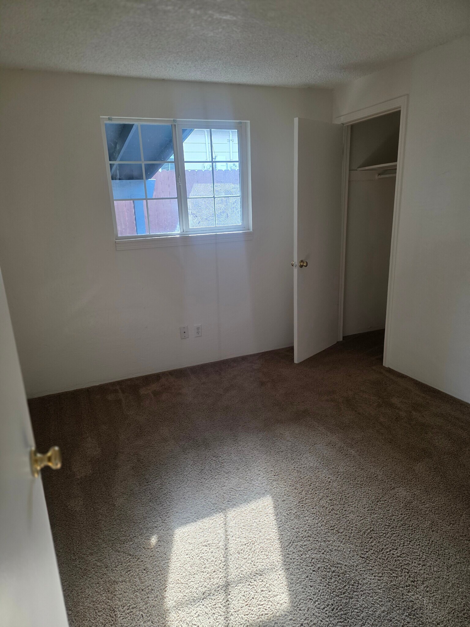 Building Photo - 534 Hamilton St