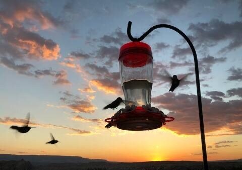 Building Photo - 122 Cerrito de Baca