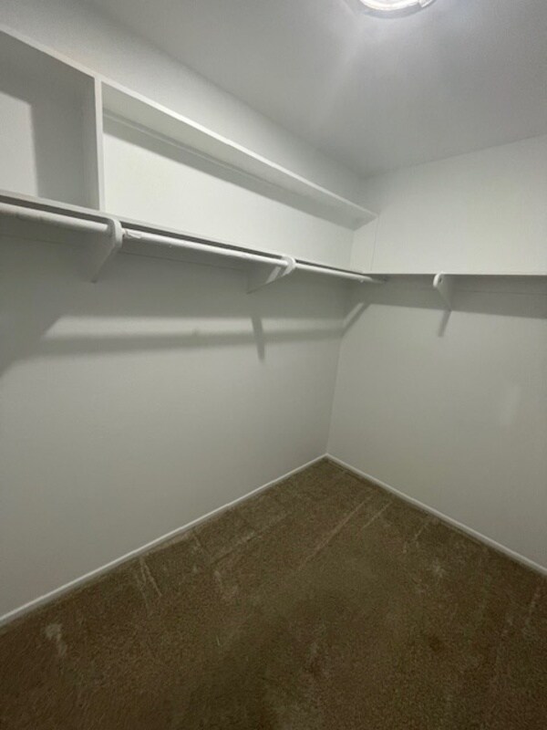 Building Photo - 13161 Shalimar Pl