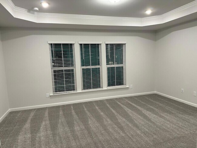 Building Photo - 1007 Blissful Waters St