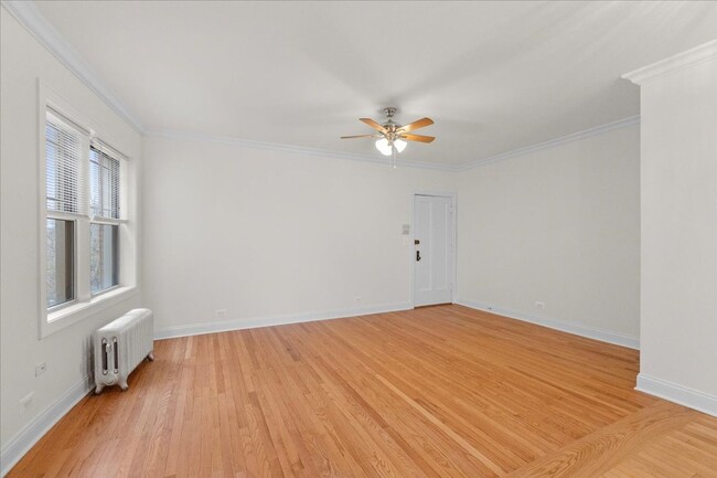 Building Photo - Large Studio in Andersonville
