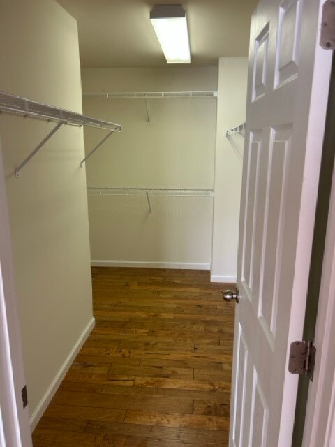 Building Photo - 436 Lazy Creek Ln