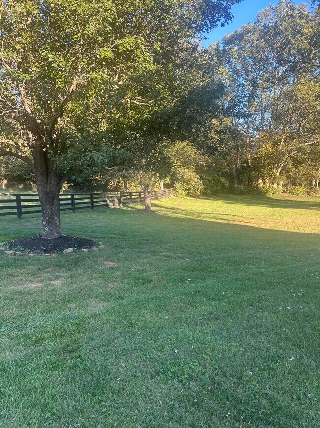 Building Photo - 409 Lawson Dr