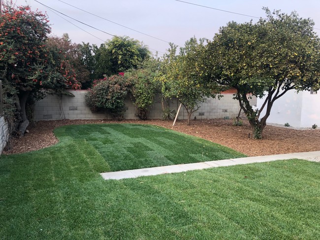 Private Backyard - 6713 Saint Clair Ave