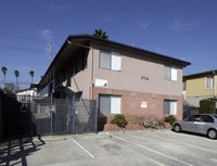 Building Photo - Narwhal