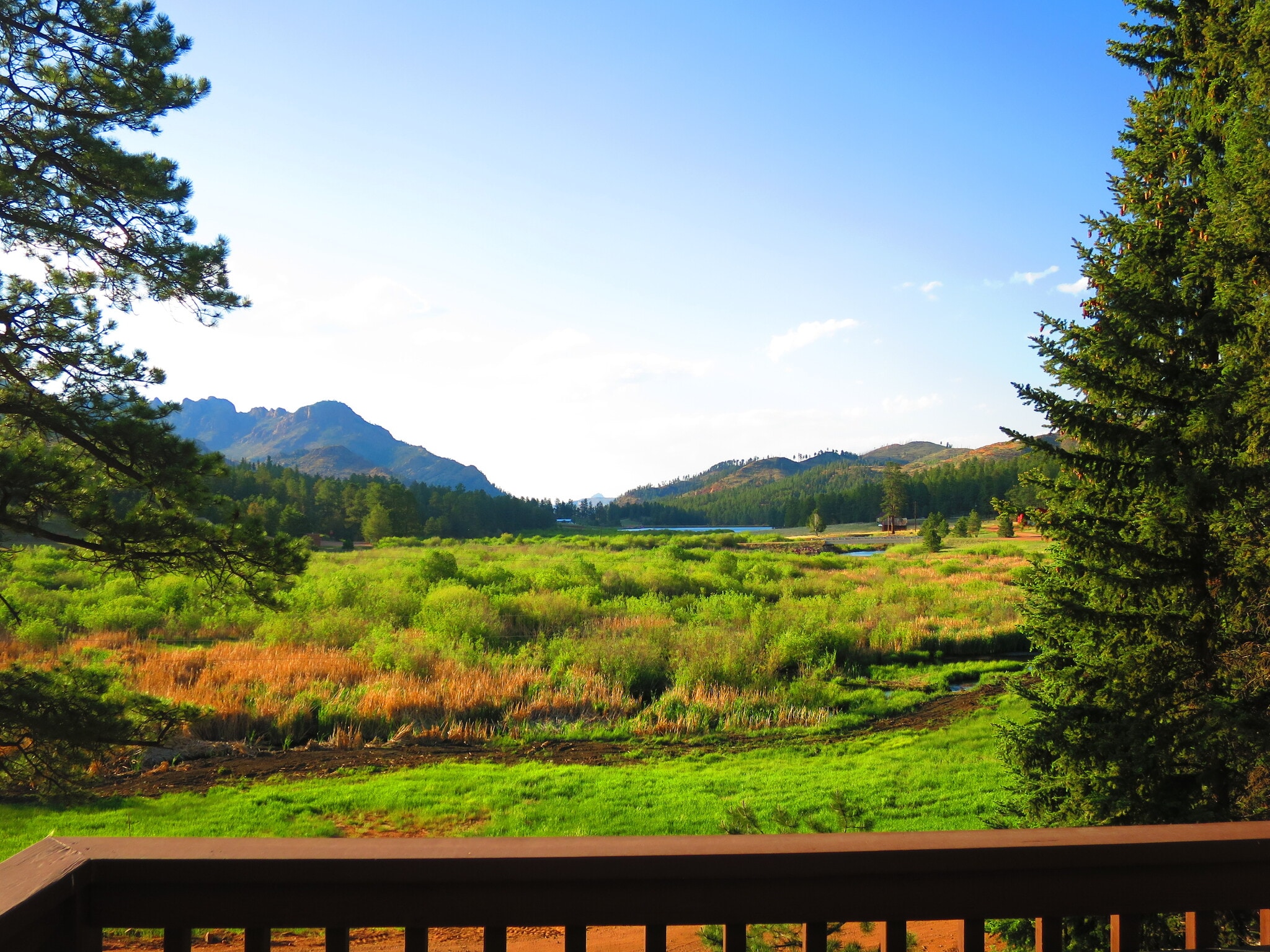 VIEW FROM THE FRONT DECK - 15729 Pine Lake Dr