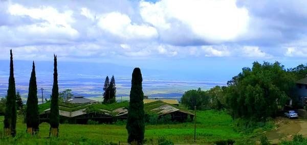 Building Photo - 500 Naalae Rd