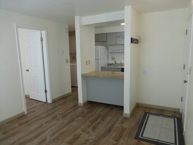 More living room and kitchen - 215 8th St SE