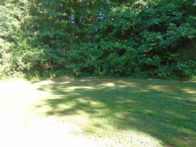 Building Photo - 240 Shenandoah Ter