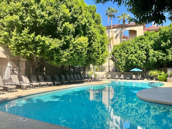 Building Photo - Luxurious 2 Bd 2 Ba Condo in Biltmore!