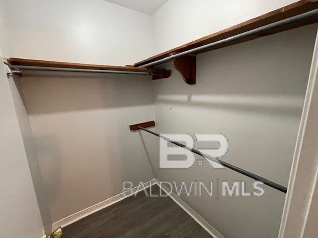 Building Photo - 105 Dewitt Loop