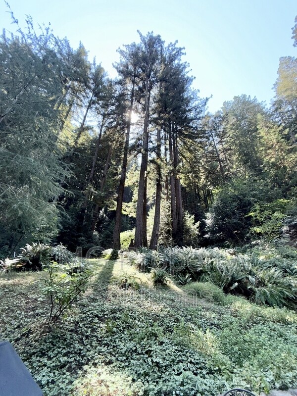 Building Photo - 7079 Lucas Valley Rd