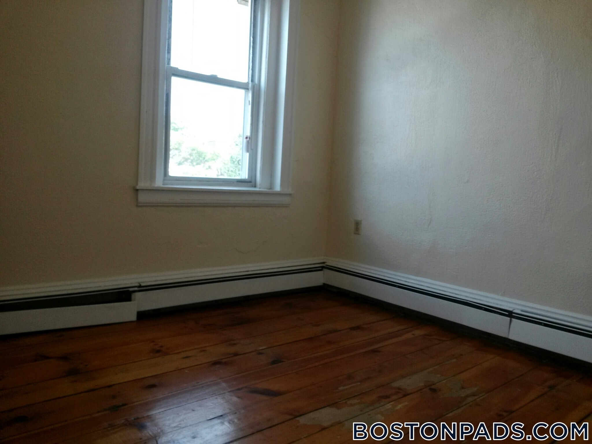 Building Photo - 124 Berkshire St