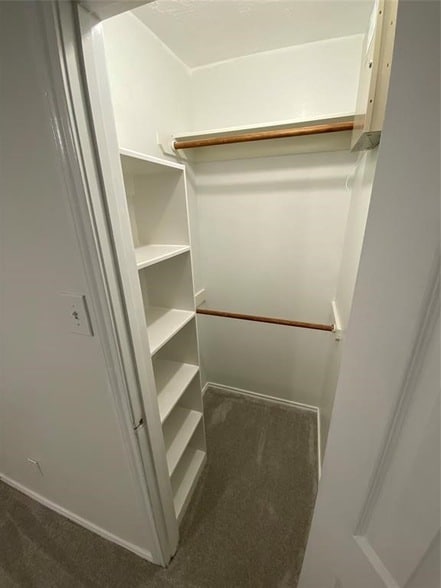 Building Photo - 3151 Palston Bend Ln