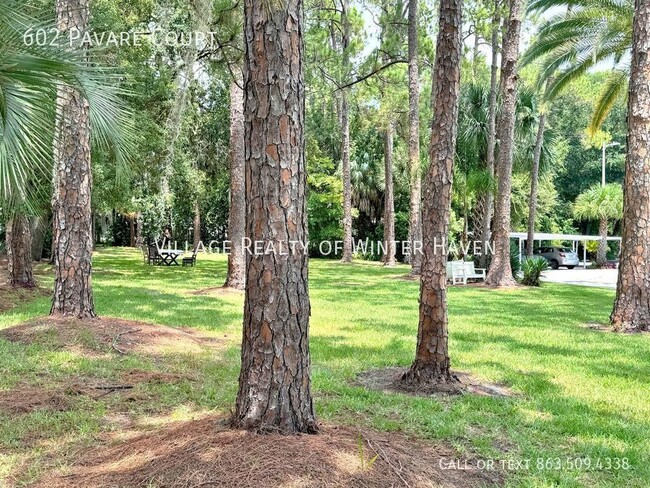 Building Photo - Southeast Winter Haven Ground Floor Apartm...