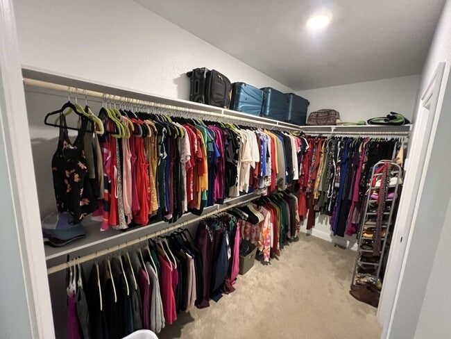 Building Photo - Partially Furnished Home on Sterling Oaks Dr. with Premium Features