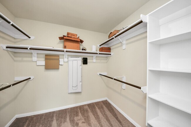 Building Photo - 1715 Ryon Falls Dr