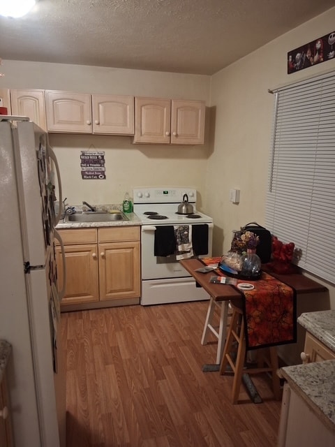 Building Photo - 228 Stoney Mountain Rd