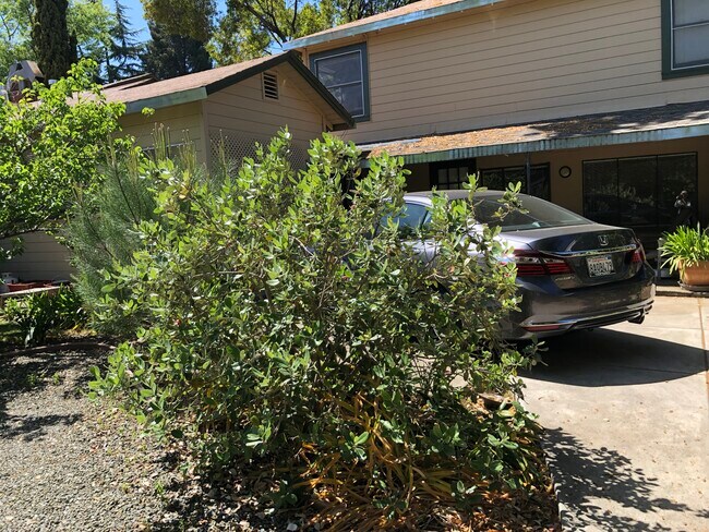 Building Photo - 507 Addison Ave