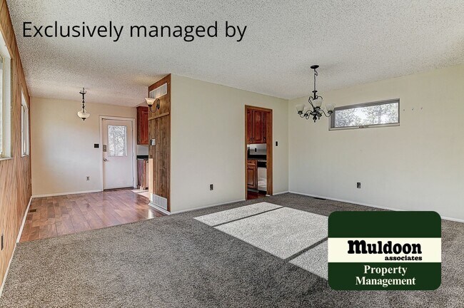 Building Photo - Coming soon, Stunning Black Forest Home!