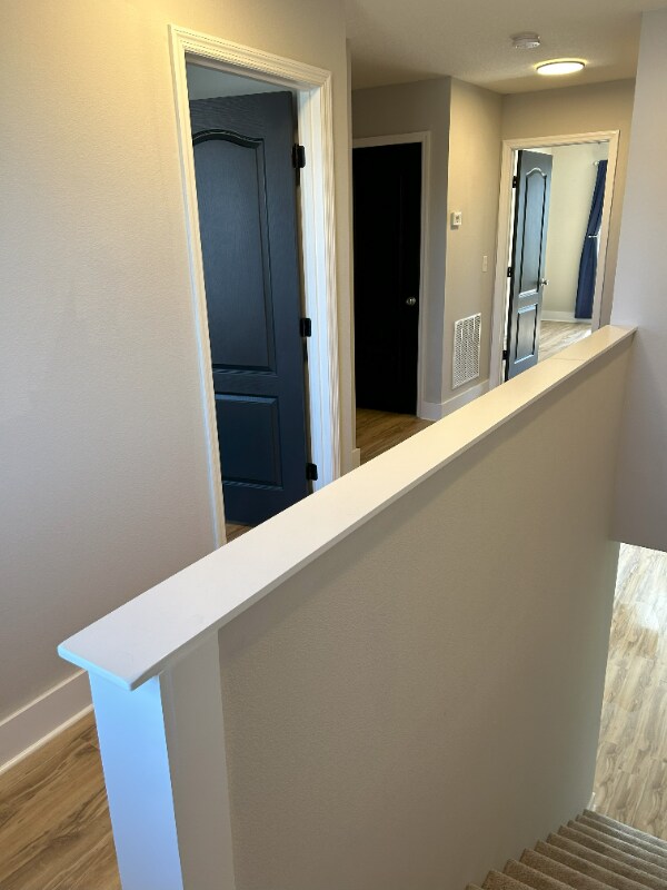 Building Photo - 217 Michelangelo Pl