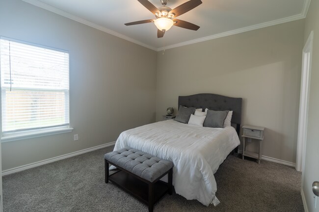 Primary Bedroom - 803 Hall St