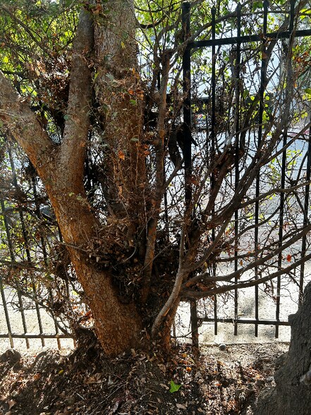 Building Photo - 1850 N La Brea Ave