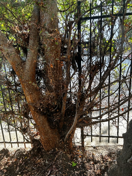 Building Photo - 1850 N La Brea Ave