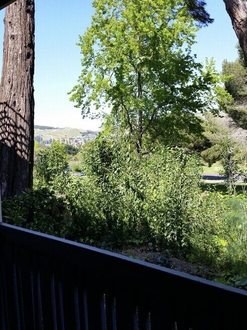 Building Photo - 1459 N Camino Alto