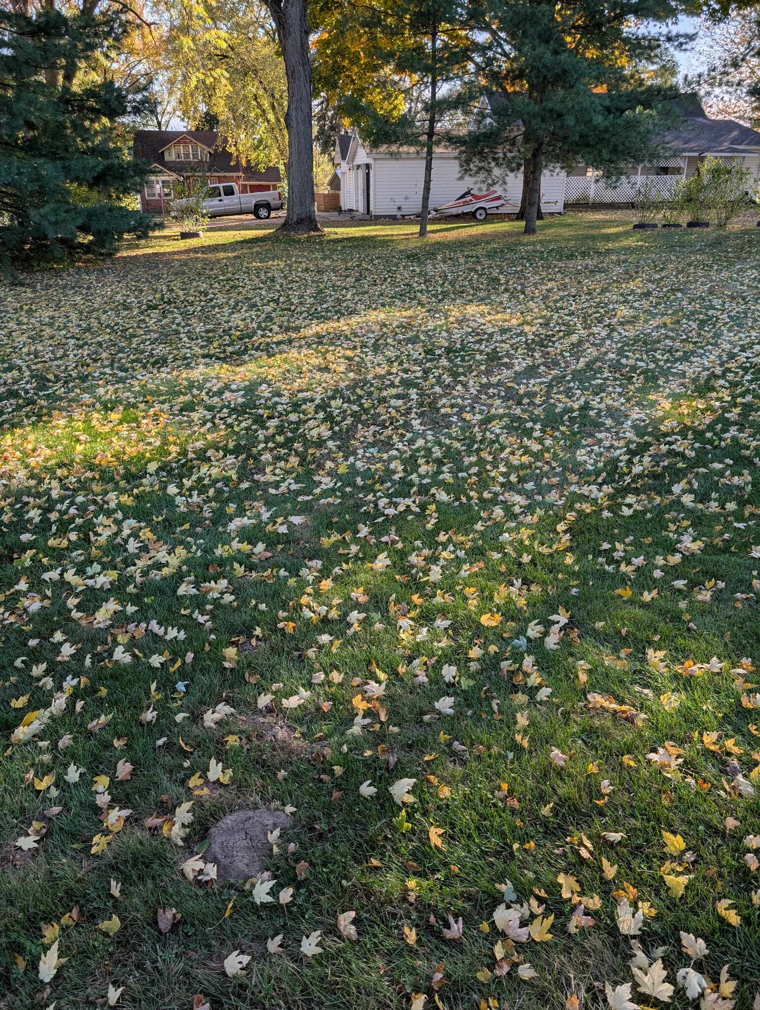 Building Photo - 401 W Walnut St