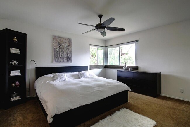 Building Photo - 3639 San Remo Dr
