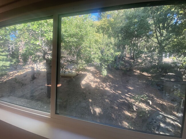 Building Photo - Move-In Ready Newer Tiny Home in The Forest