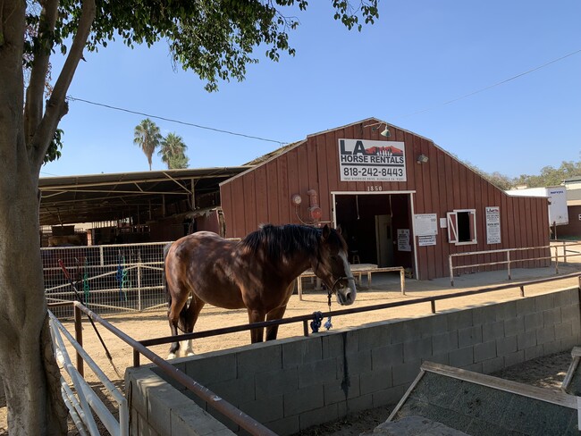 Horse Rental Across Street - 1841 Riverside Dr