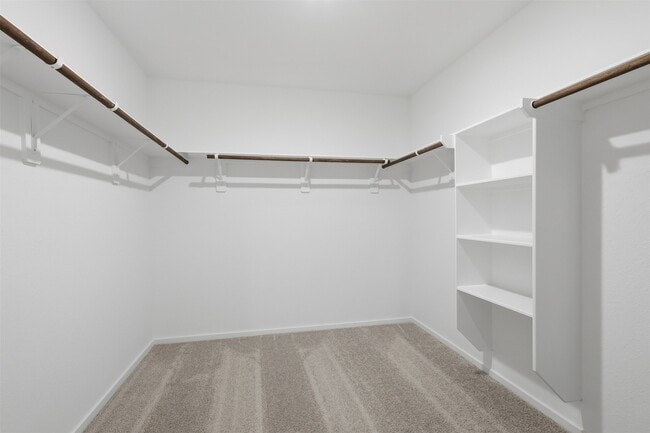 Building Photo - 15317 Dapple Blf Ln