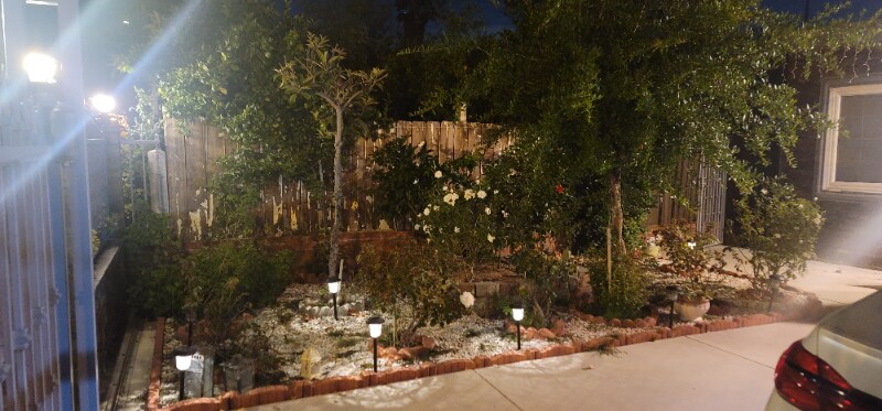Building Photo - 10019 Tujunga Canyon Blvd