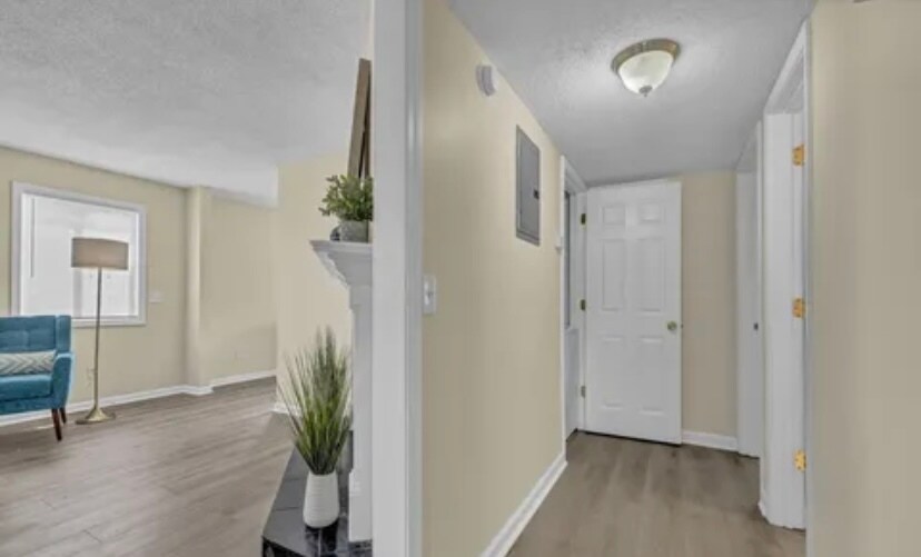 Hallway - 4141 Spirea Dr