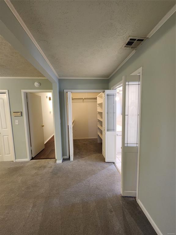 Building Photo - 3706 Jasmine Hill Rd