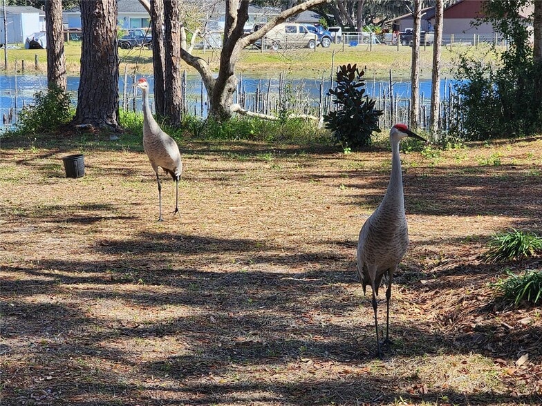 Building Photo - 2033 Quintilis Ct